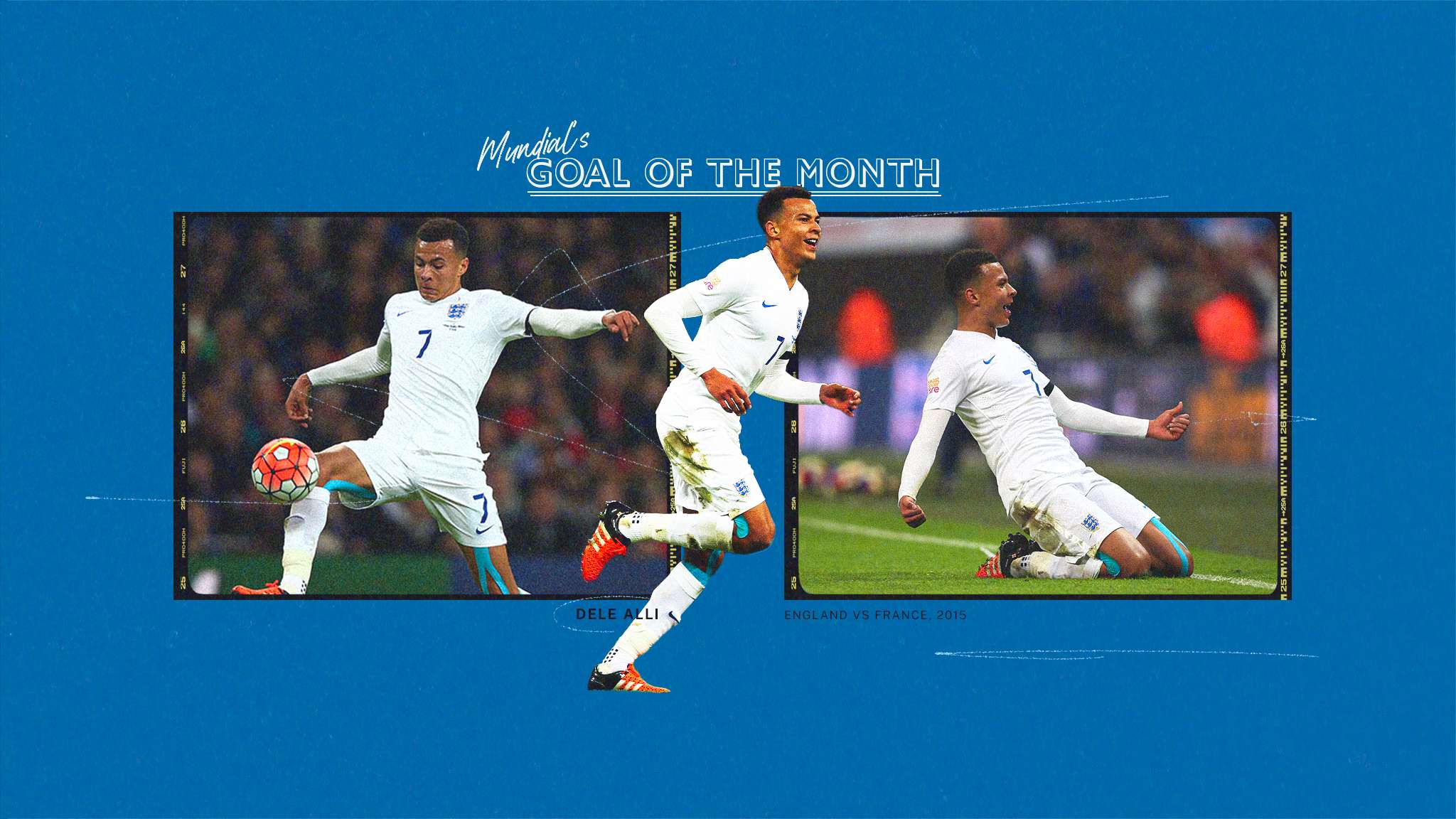 的坚韧和智 的坚韧和智